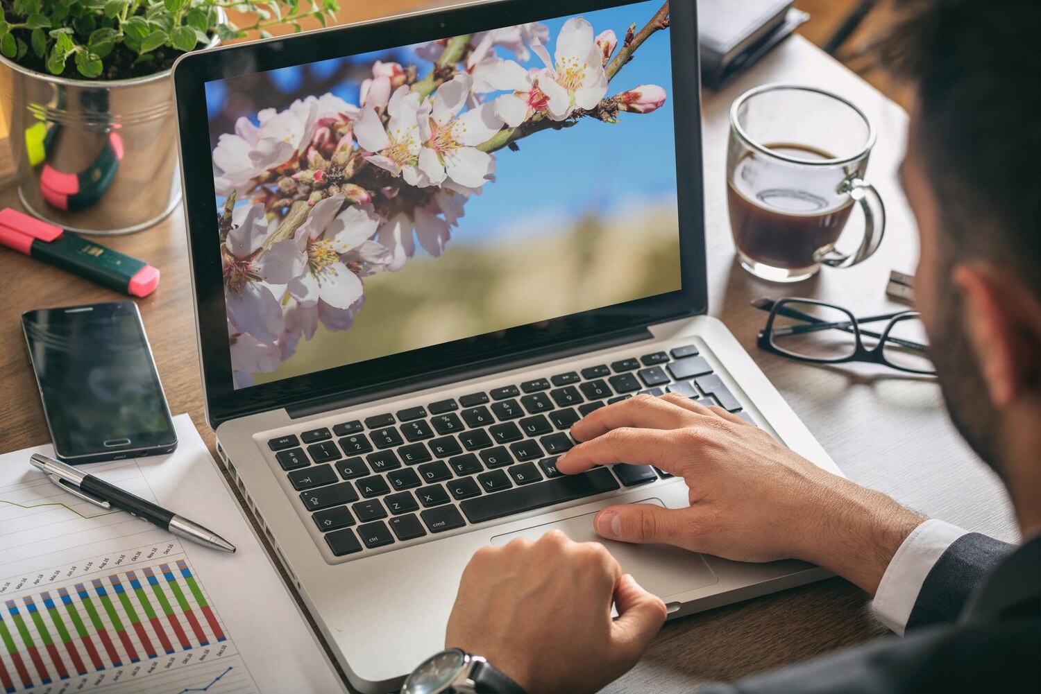 Férfi laptopon dolgozik az íróasztalnál, a képernyőn virágzó faág fotója látható